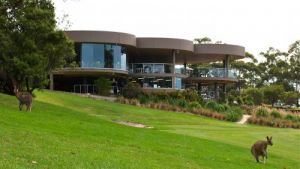 Bluewater Grill - Accommodation NSW