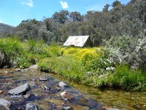 Hedonistic Hiking's Falls Creek to Hotham - Accommodation NSW