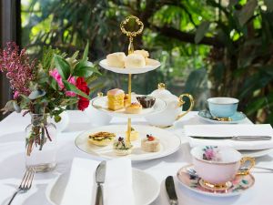 High Tea at Melbourne Zoo - Accommodation NSW