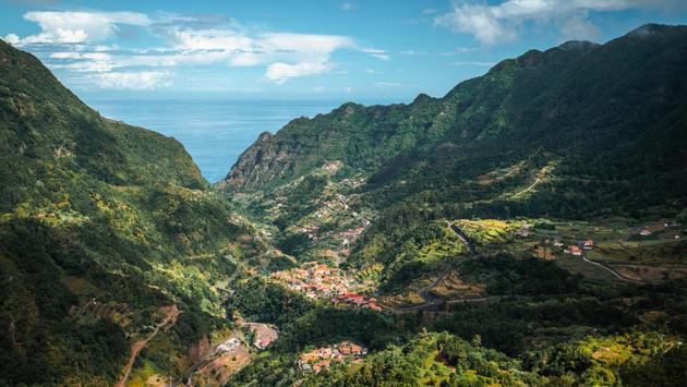 Springtime in Madeira: Flowers, Festivals and More Accommodation NSW